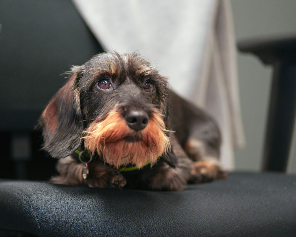 {"id":279,"user_id":null,"folder_id":3,"name":"petralubbersfotografie(45)","alternate":null,"path":"petralubbersfotografie(45).jpg","extension":"jpg","size":153004,"created_at":"2023-12-01T06:58:39.000000Z","updated_at":"2023-12-01T06:58:39.000000Z"}